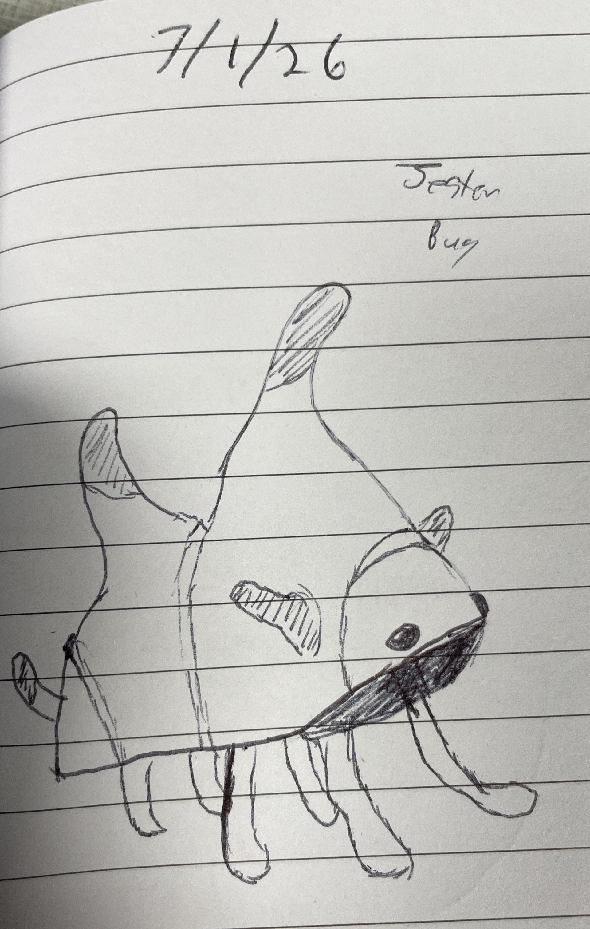 Daily Image